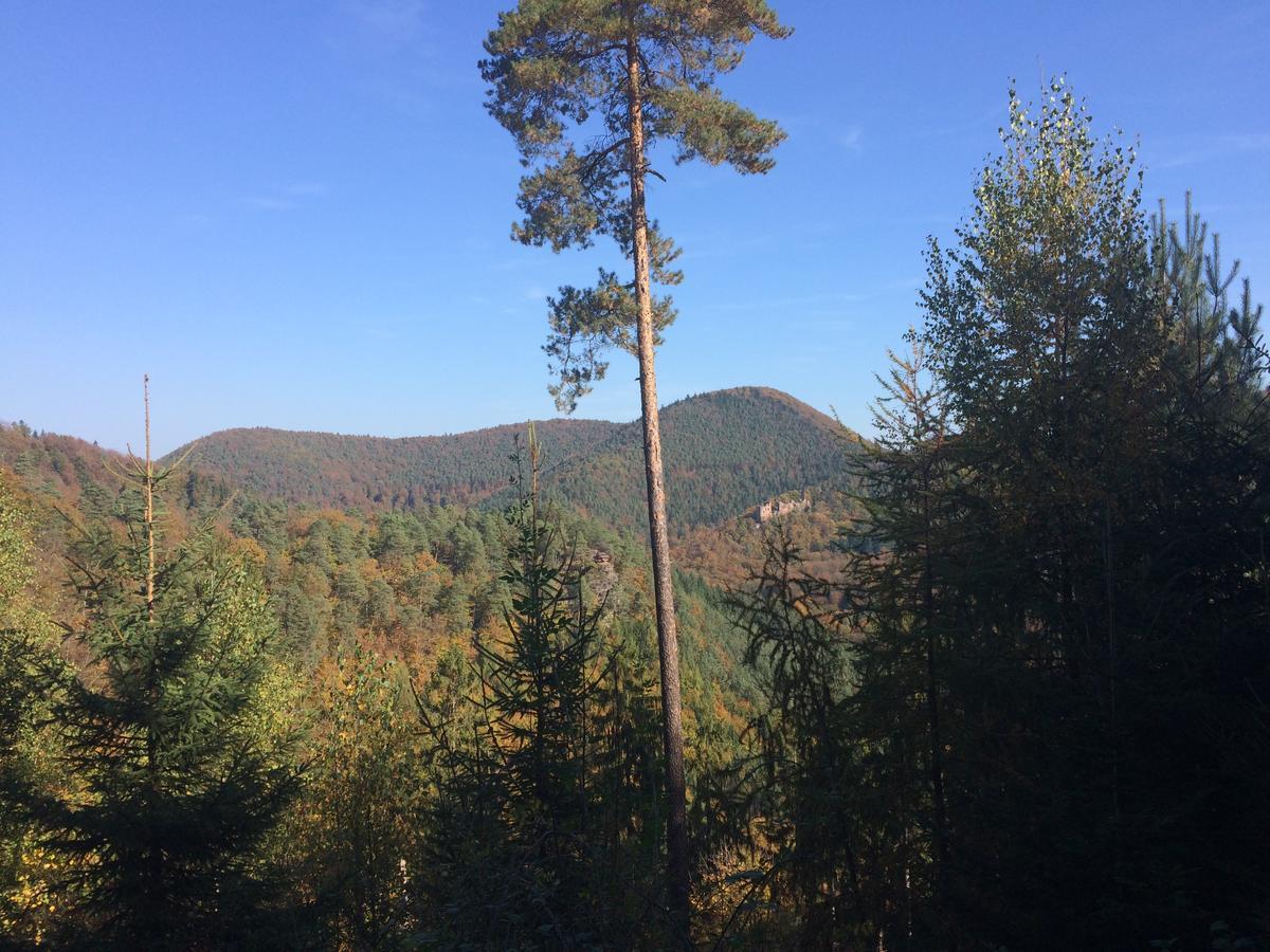 Un Gite Dans La Vallee Obersteinbach Εξωτερικό φωτογραφία