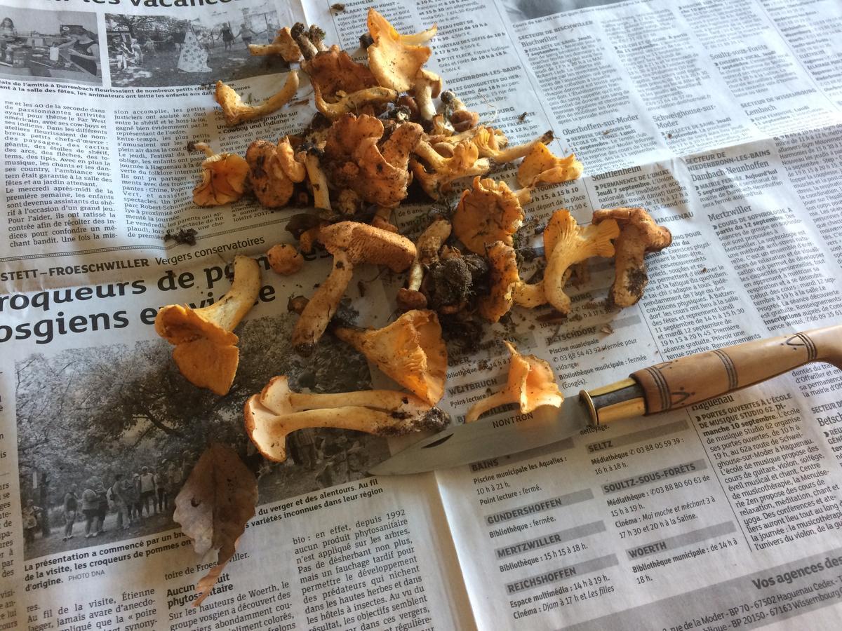Un Gite Dans La Vallee Obersteinbach Εξωτερικό φωτογραφία
